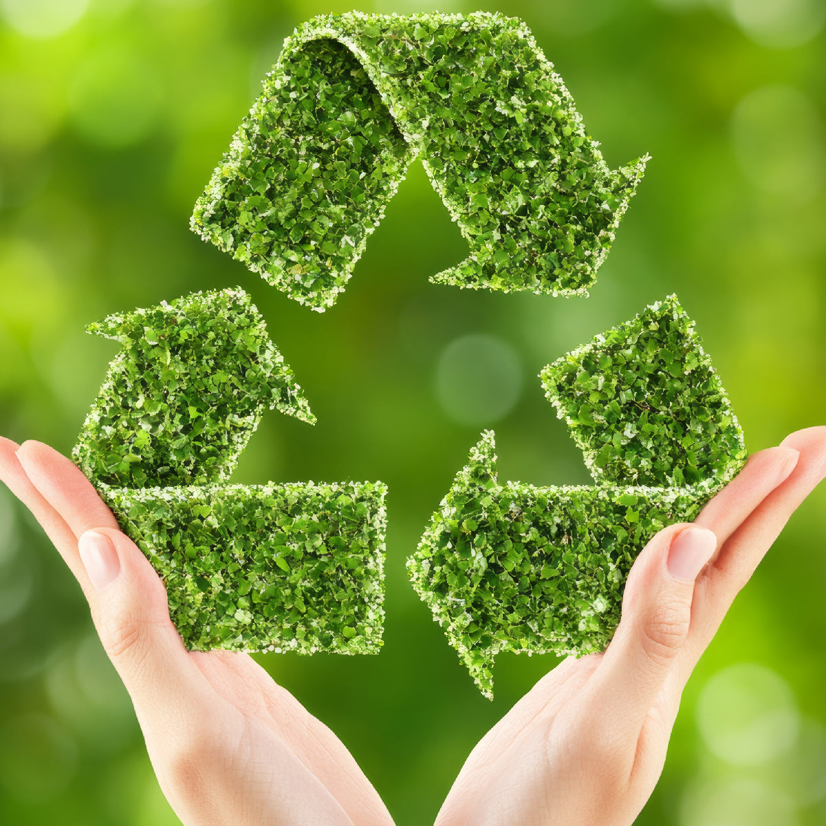 Taller: Análisis de Ciclo de Vida para la Circularidad Empresarial