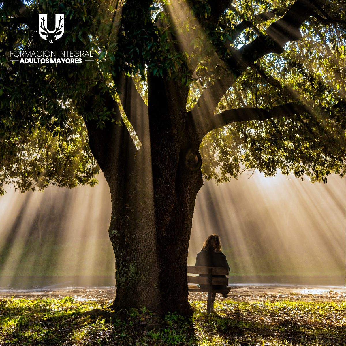 Curso: Psicotanatología: El Valor de la VIDA