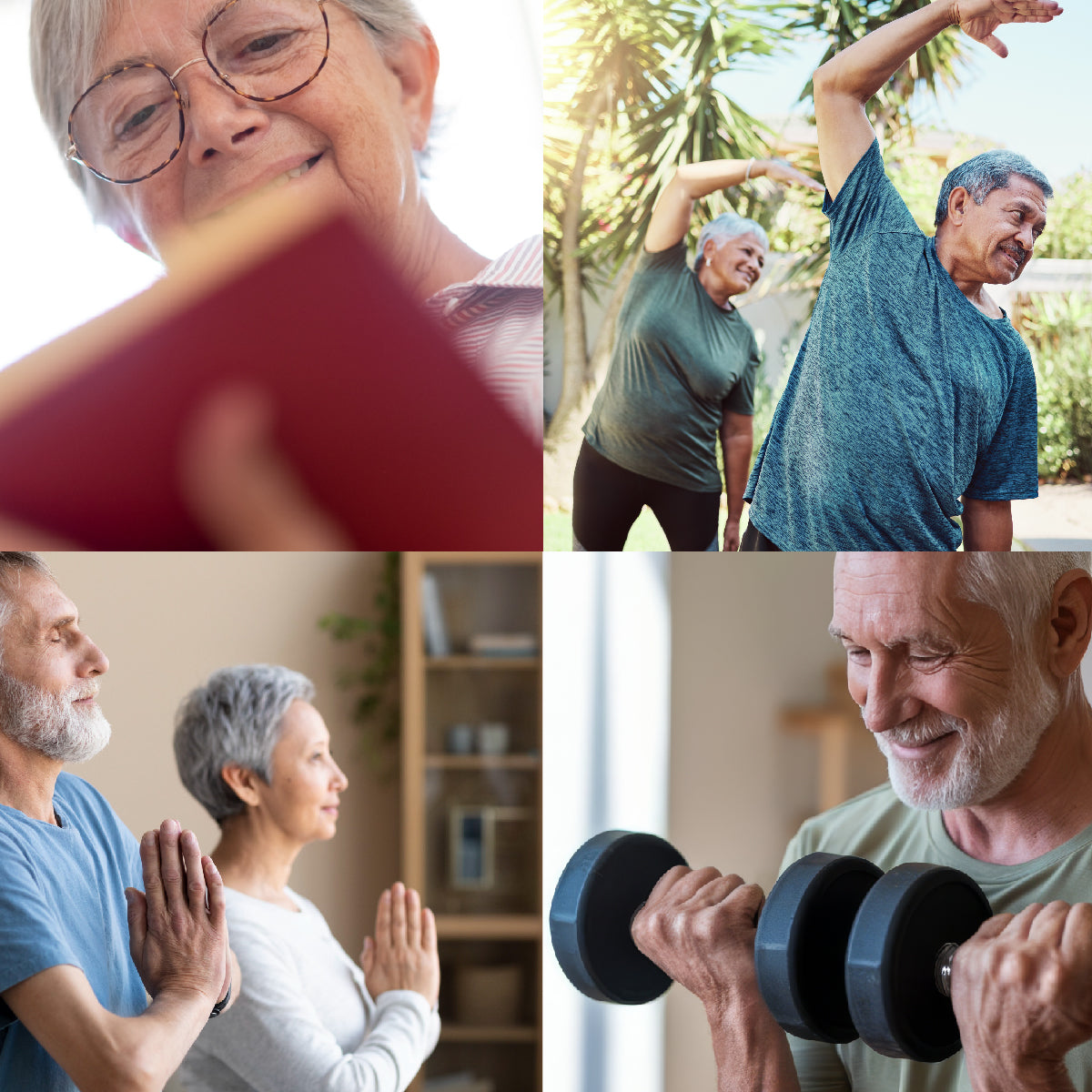 Taller: Cuerpo activo y pleno