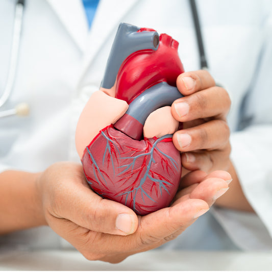 Curso: Soporte Vital Cardiovascular Avanzado (SVCA-ACLS) Acreditado por AHA
