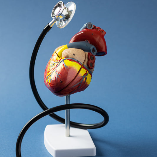 Curso: Soporte Vital Básico (BLS) Acreditado por AHA